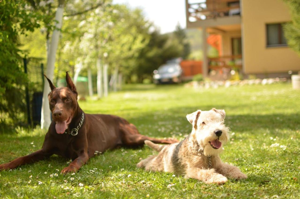 Eden Visoko Apartment ภายนอก รูปภาพ